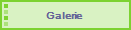 Galerie